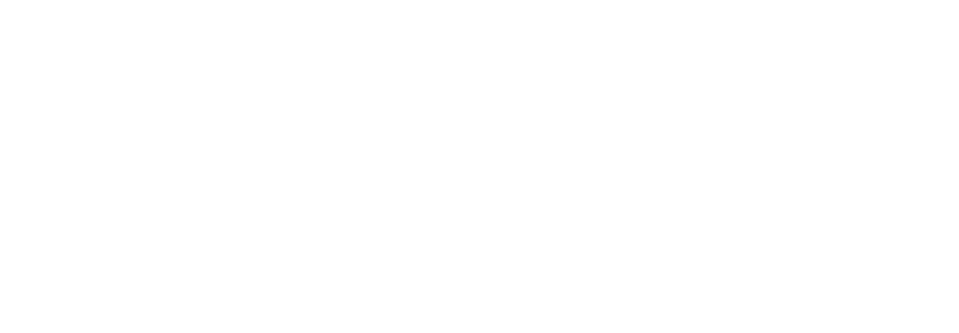 Logo PT AMD